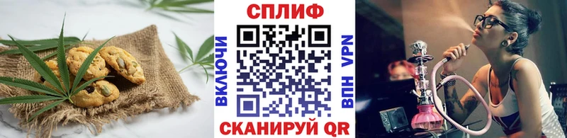 продажа наркотиков  Пущино  Еда ТГК конопля 