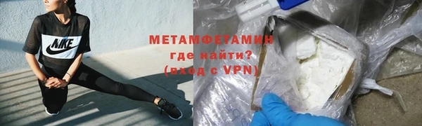 сатива Пенза
