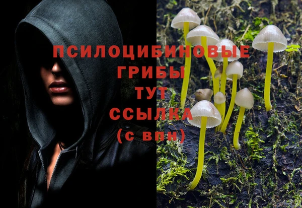 меф Заводоуковск
